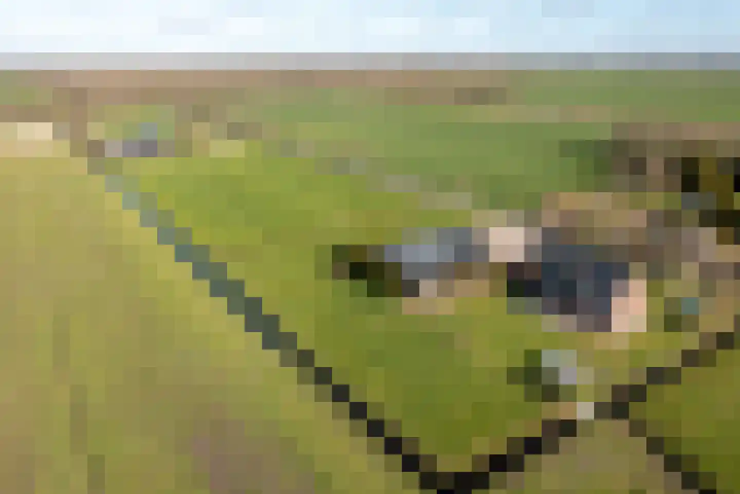 Bospad 4 Rotsterhaule thumbnail 24