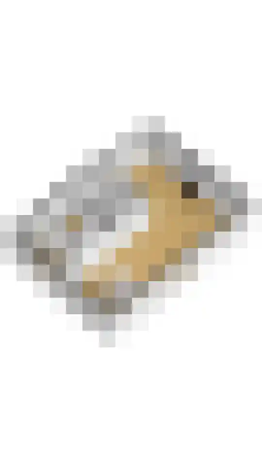 Bospad 4 Rotsterhaule thumbnail 27