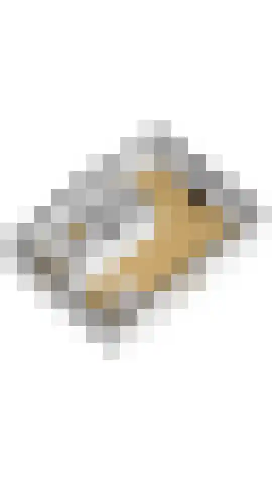 Bospad 4 Rotsterhaule thumbnail 27