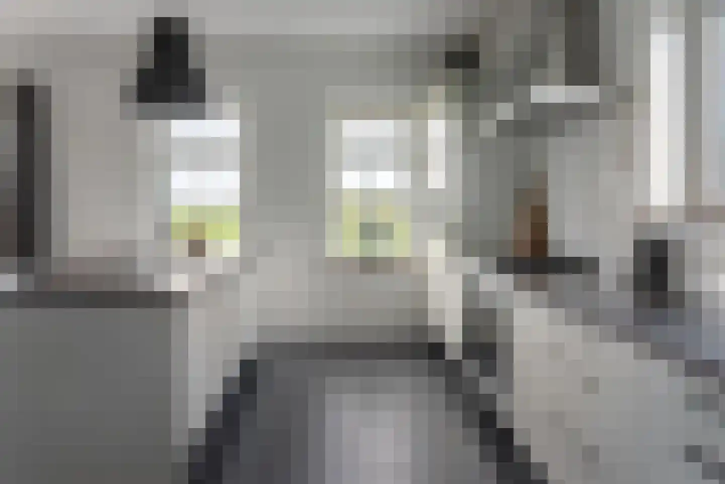 Bospad 4 Rotsterhaule thumbnail 4