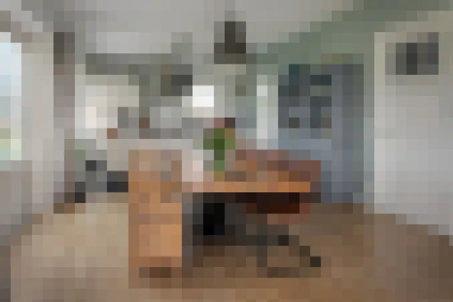 Bospad 4 Rotsterhaule thumbnail 8
