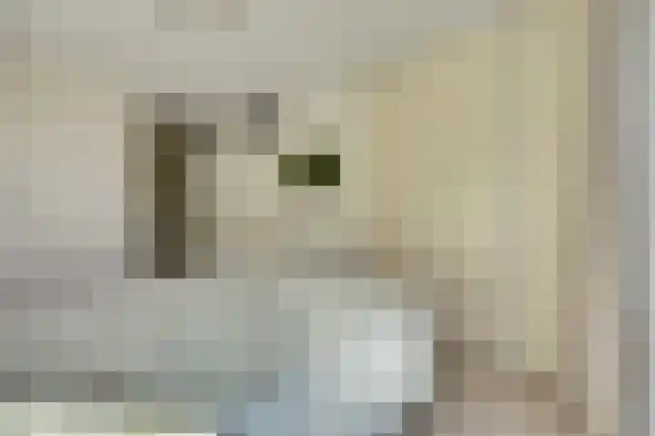 Bospad 75 Schiedam thumbnail 19