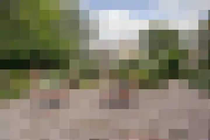 Bospad 75 Schiedam thumbnail 33