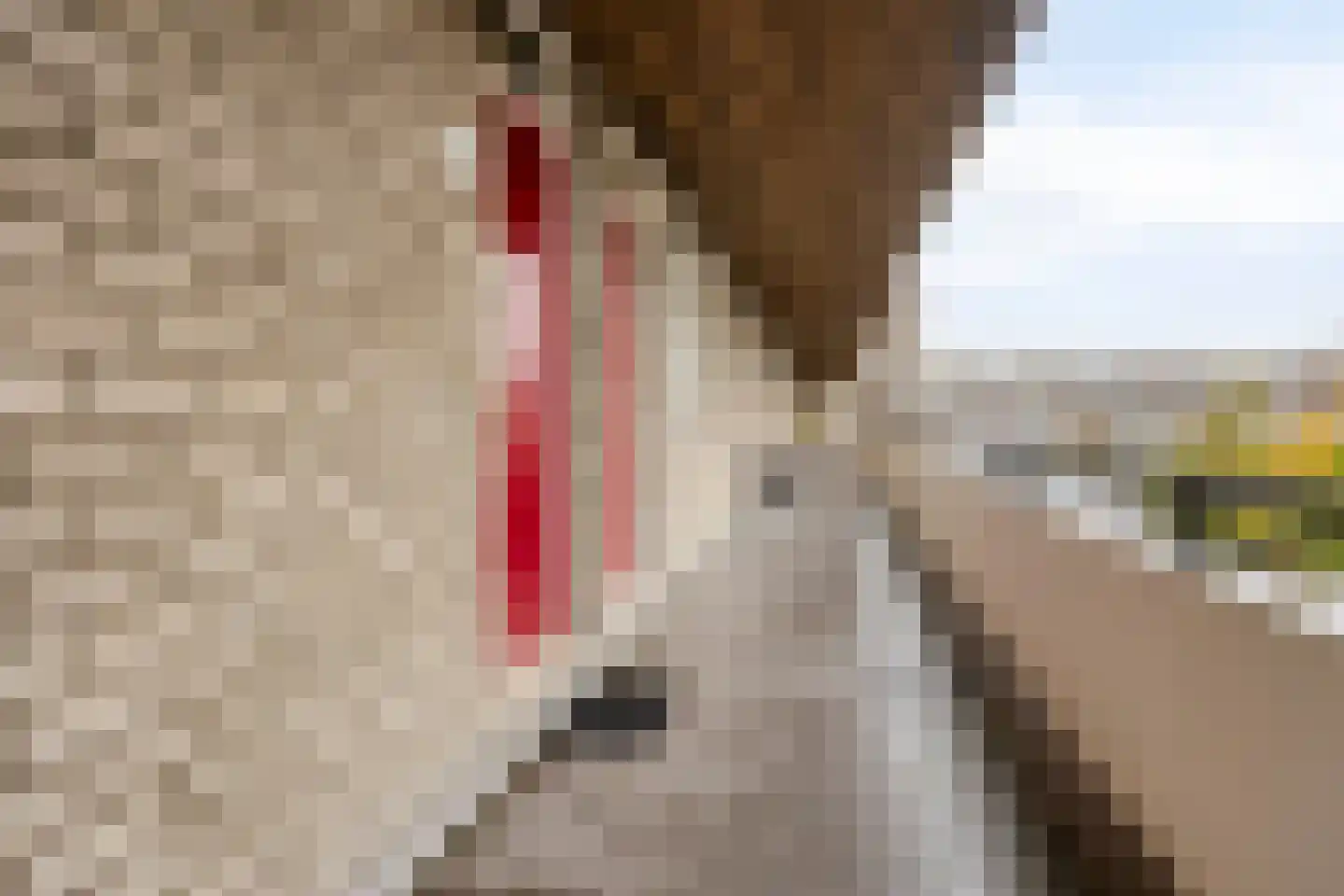 Bosplaat 101 Zwolle thumbnail 17