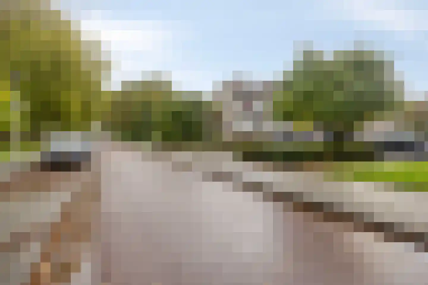 Bosplaat 101 Zwolle thumbnail 18