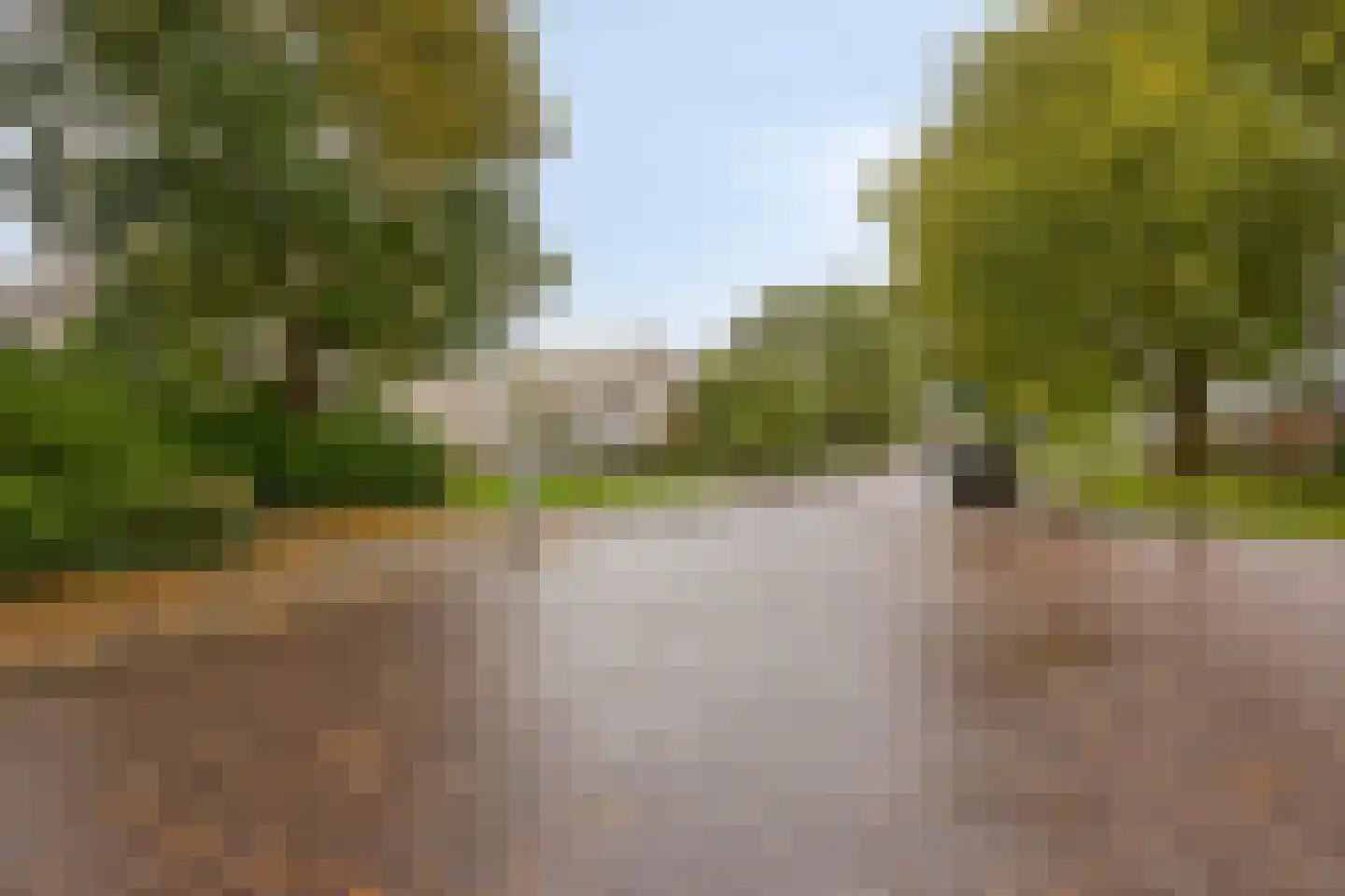Bosplaat 101 Zwolle thumbnail 19