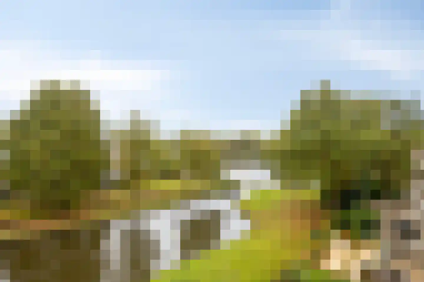 Bosplaat 101 Zwolle thumbnail 25