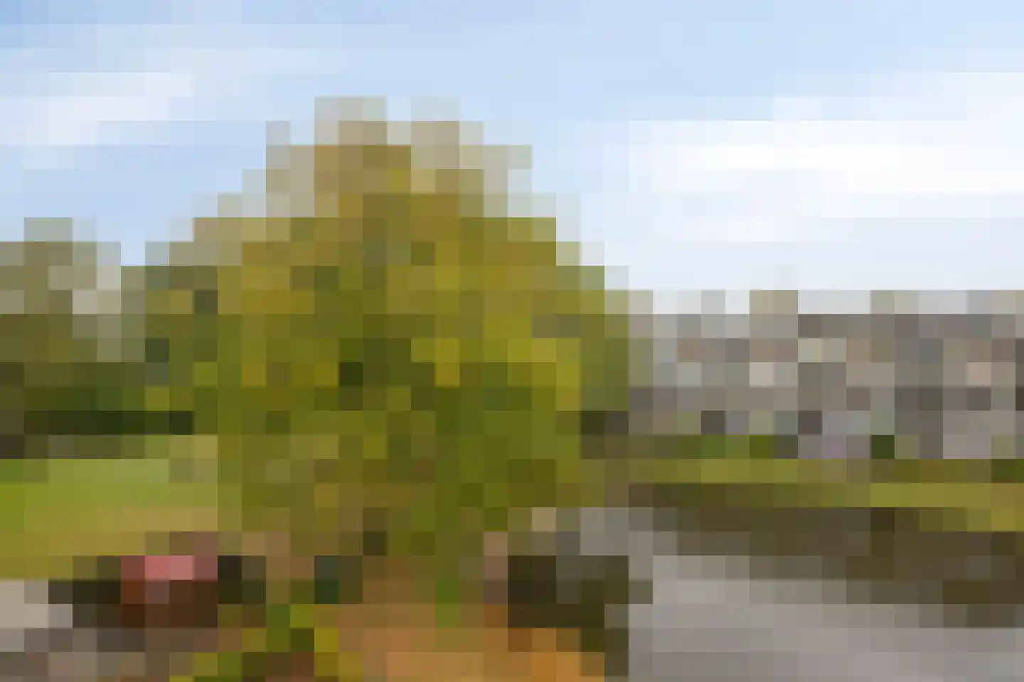Bosplaat 101 Zwolle thumbnail 26