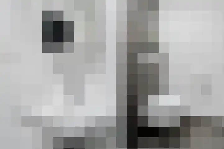 Bosplaat 103 Amsterdam thumbnail 30