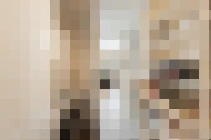 Bosplaat 103 Amsterdam thumbnail 32