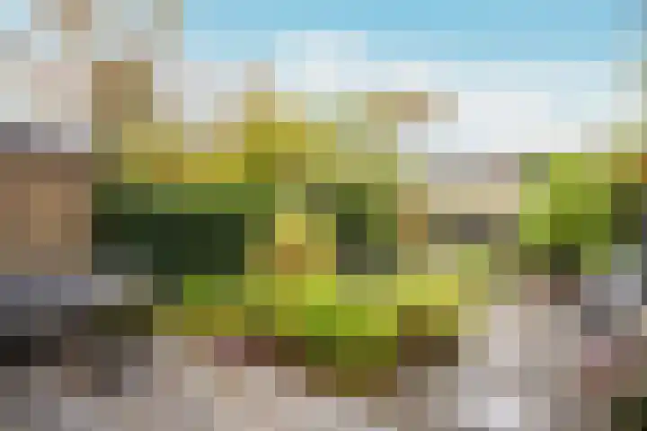Bosplaat 103 Amsterdam thumbnail 38