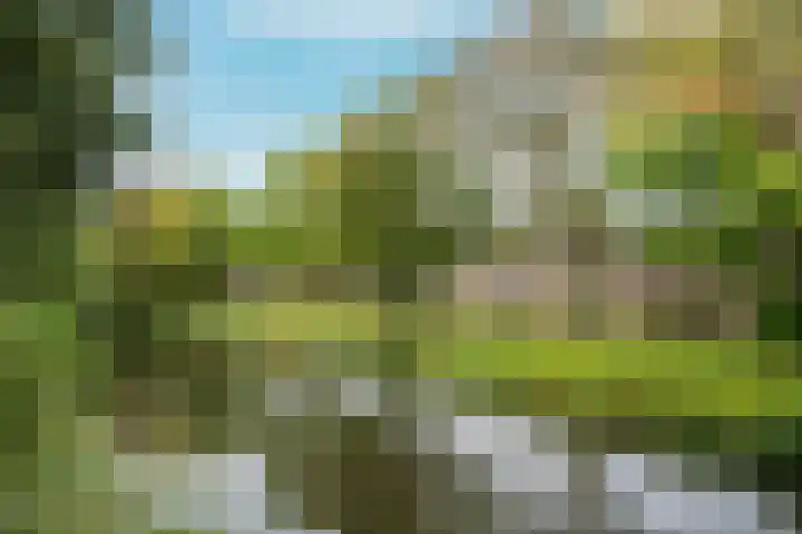 Bosplaat 103 Amsterdam thumbnail 47