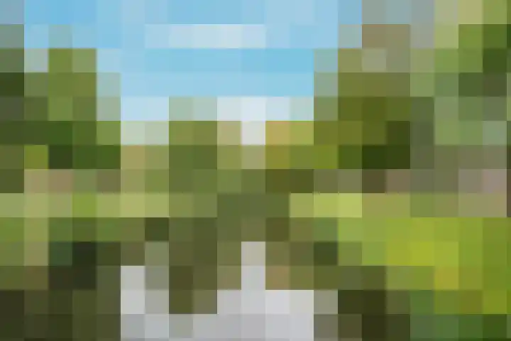 Bosplaat 103 Amsterdam thumbnail 53