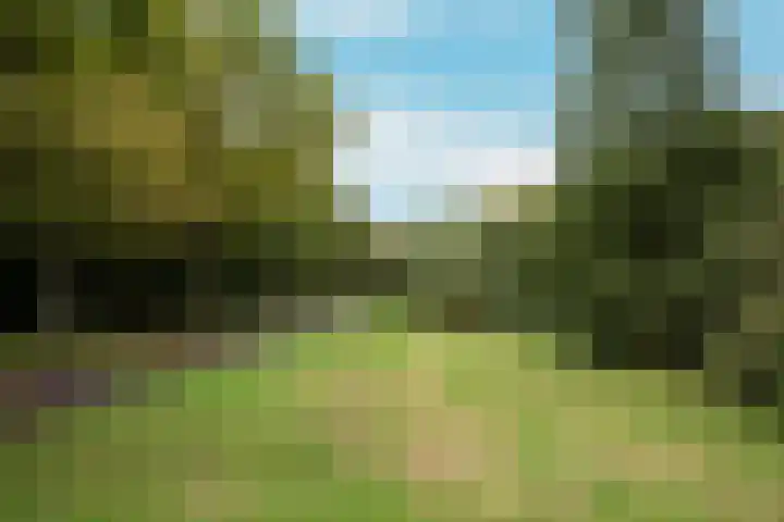 Bosplaat 103 Amsterdam thumbnail 56