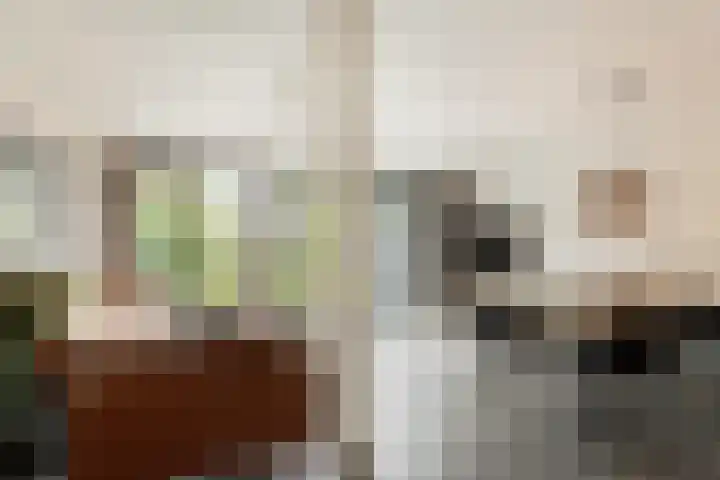 Bosplaat 103 Amsterdam thumbnail 7