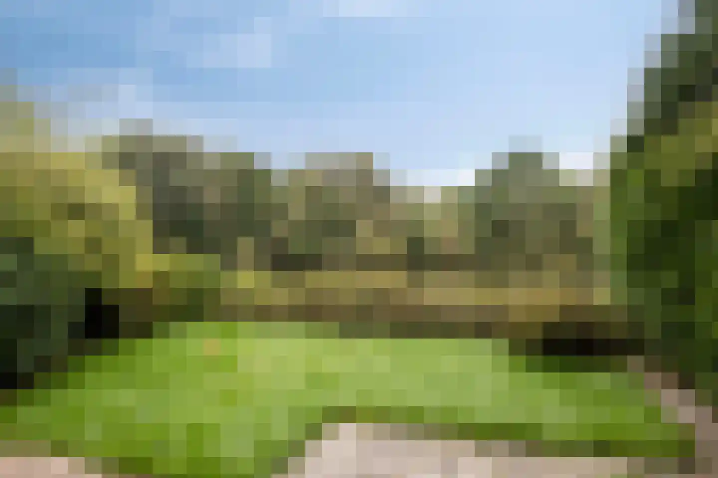 Bosplaat 13 Zwolle thumbnail 26