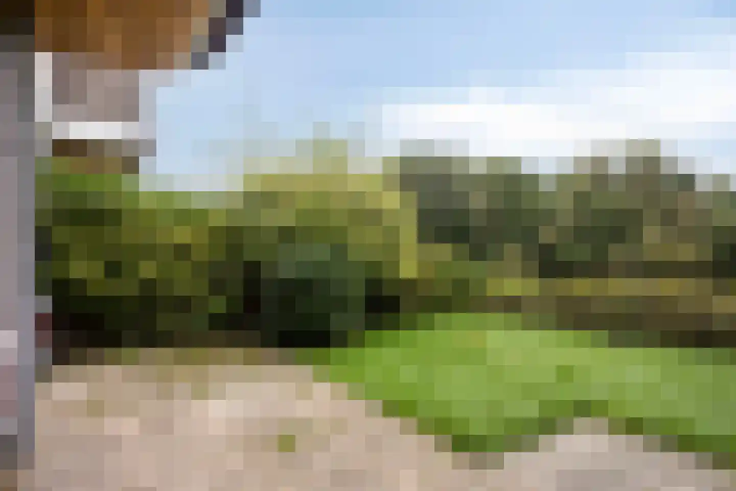 Bosplaat 13 Zwolle thumbnail 5