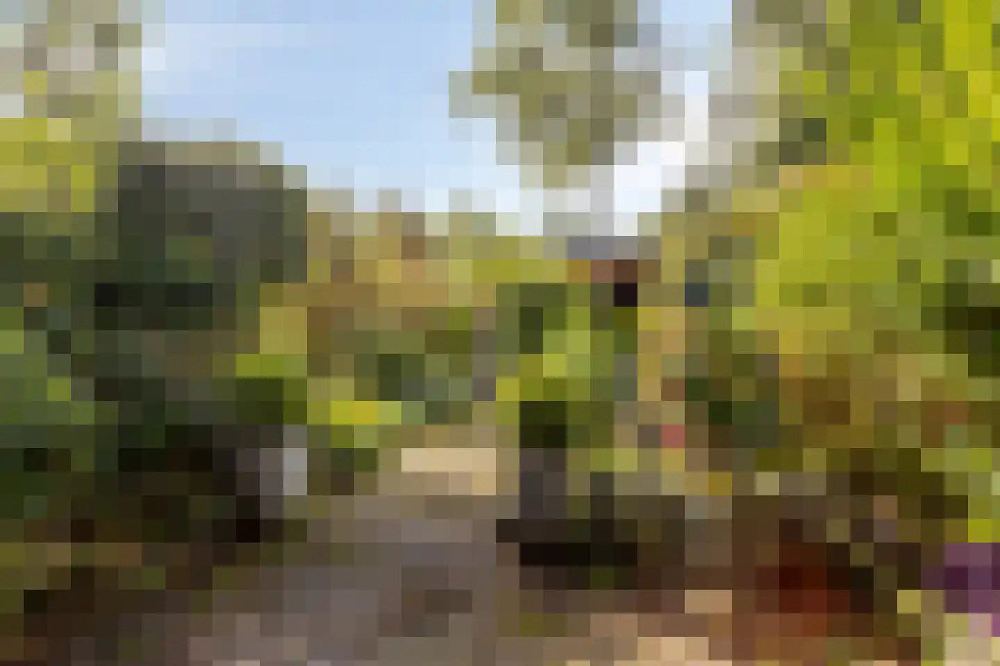 Bosplaat 31 Amsterdam thumbnail 16