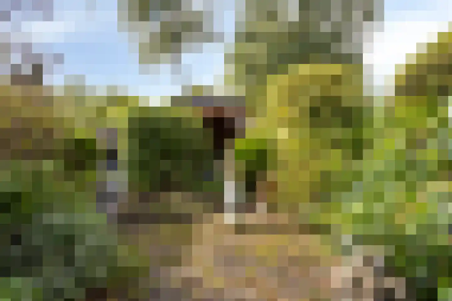 Bosplaat 31 Amsterdam thumbnail 17
