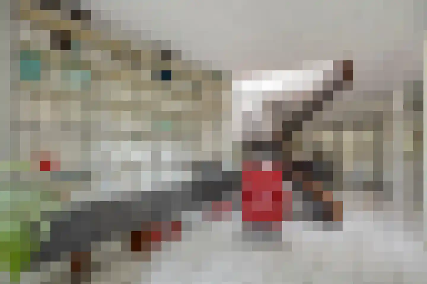Bosplaat 31 Amsterdam thumbnail 21