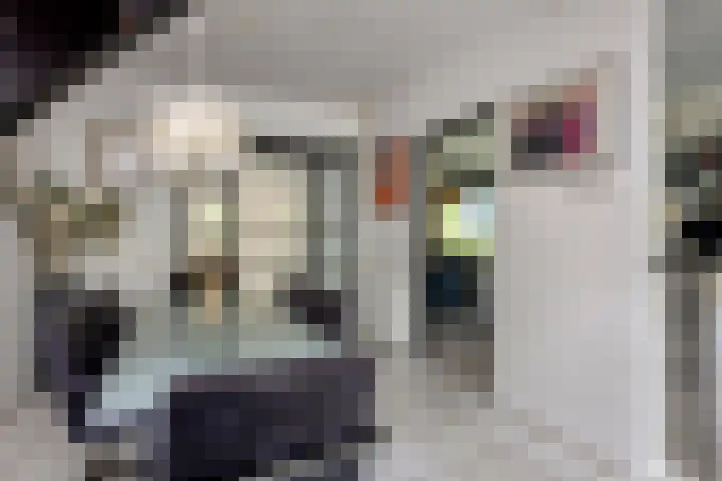 Bosplaat 31 Amsterdam thumbnail 24