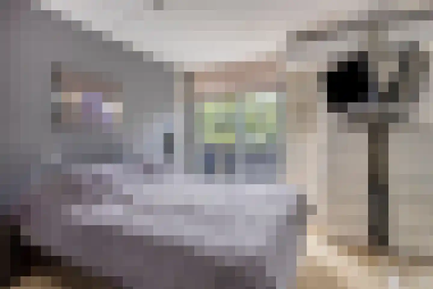 Bosplaat 31 Amsterdam thumbnail 32