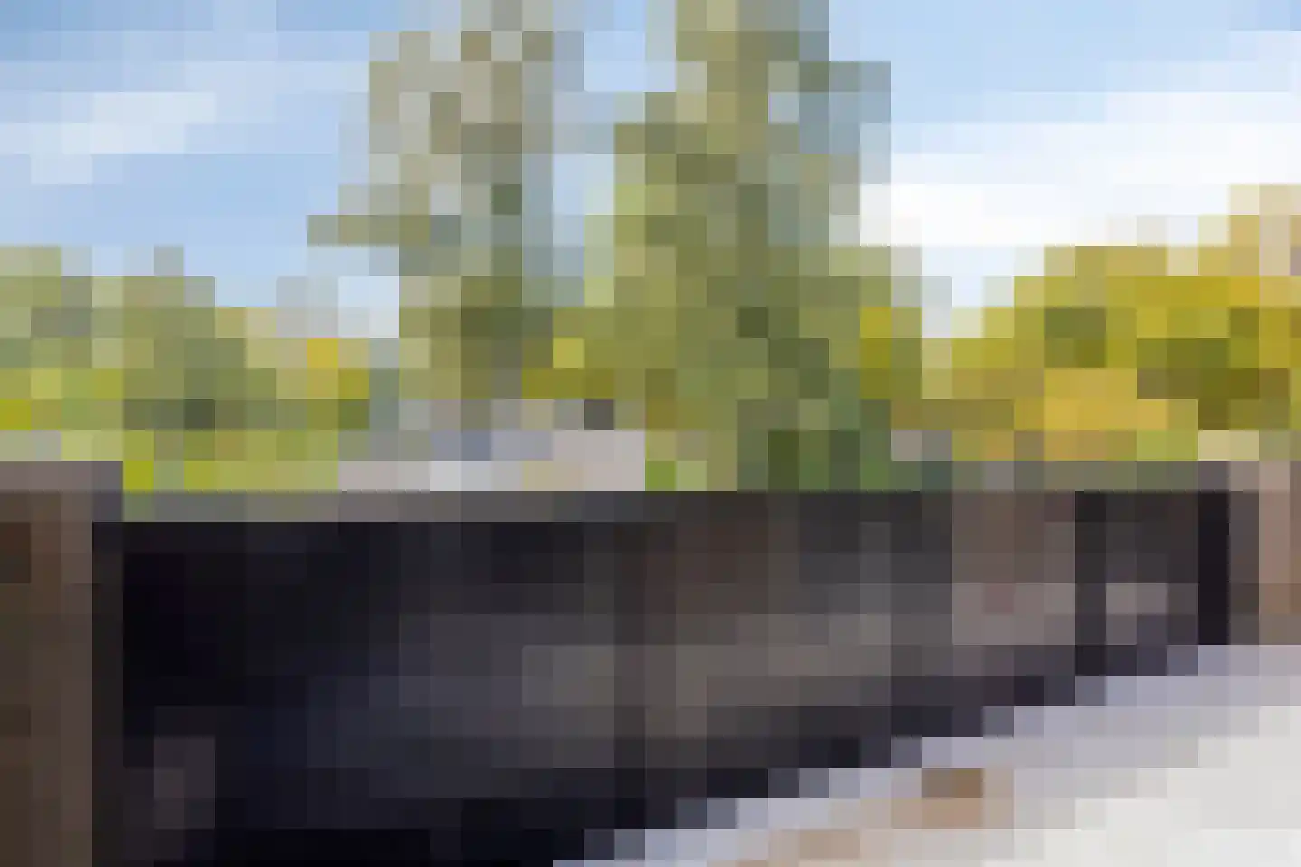 Bosplaat 31 Amsterdam thumbnail 34