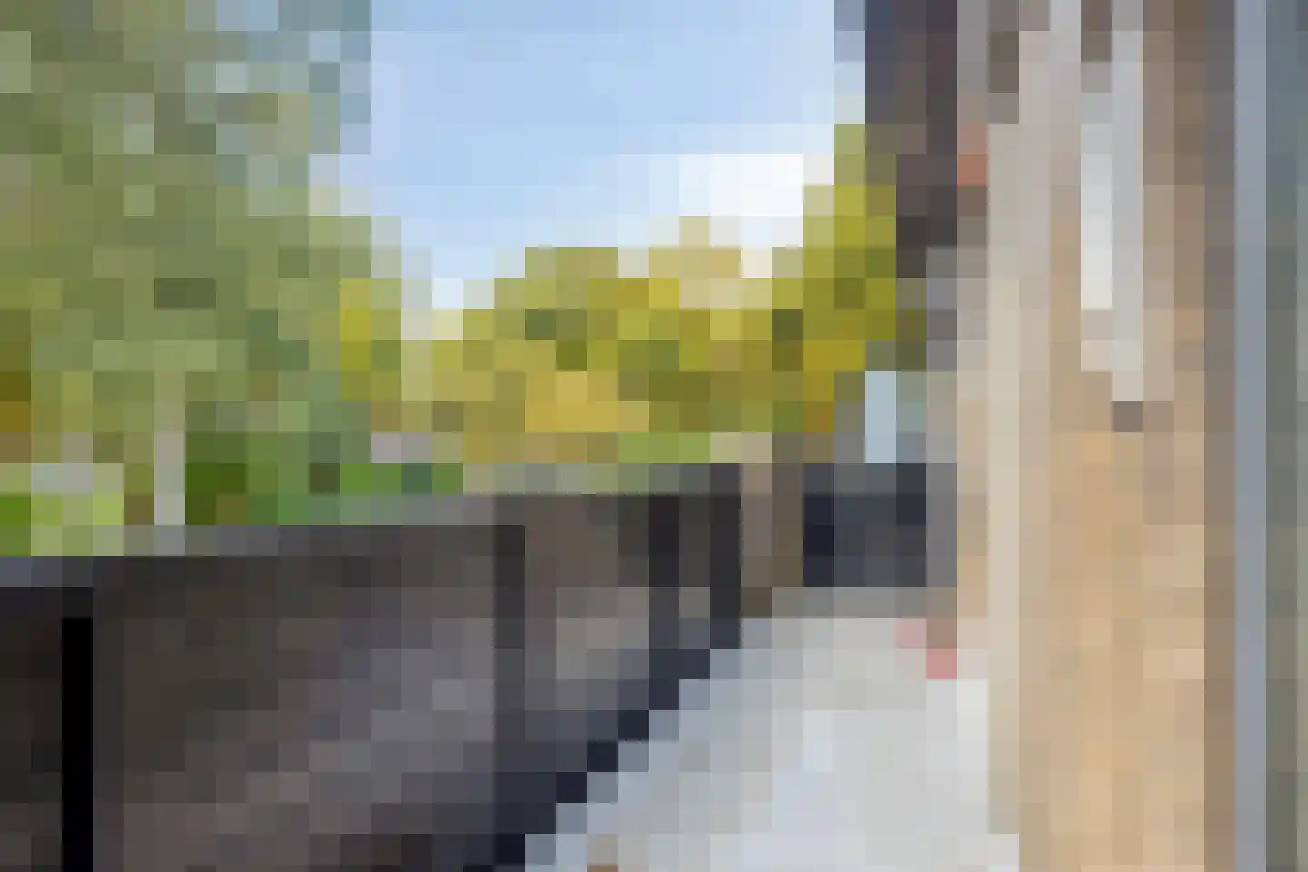 Bosplaat 31 Amsterdam thumbnail 35