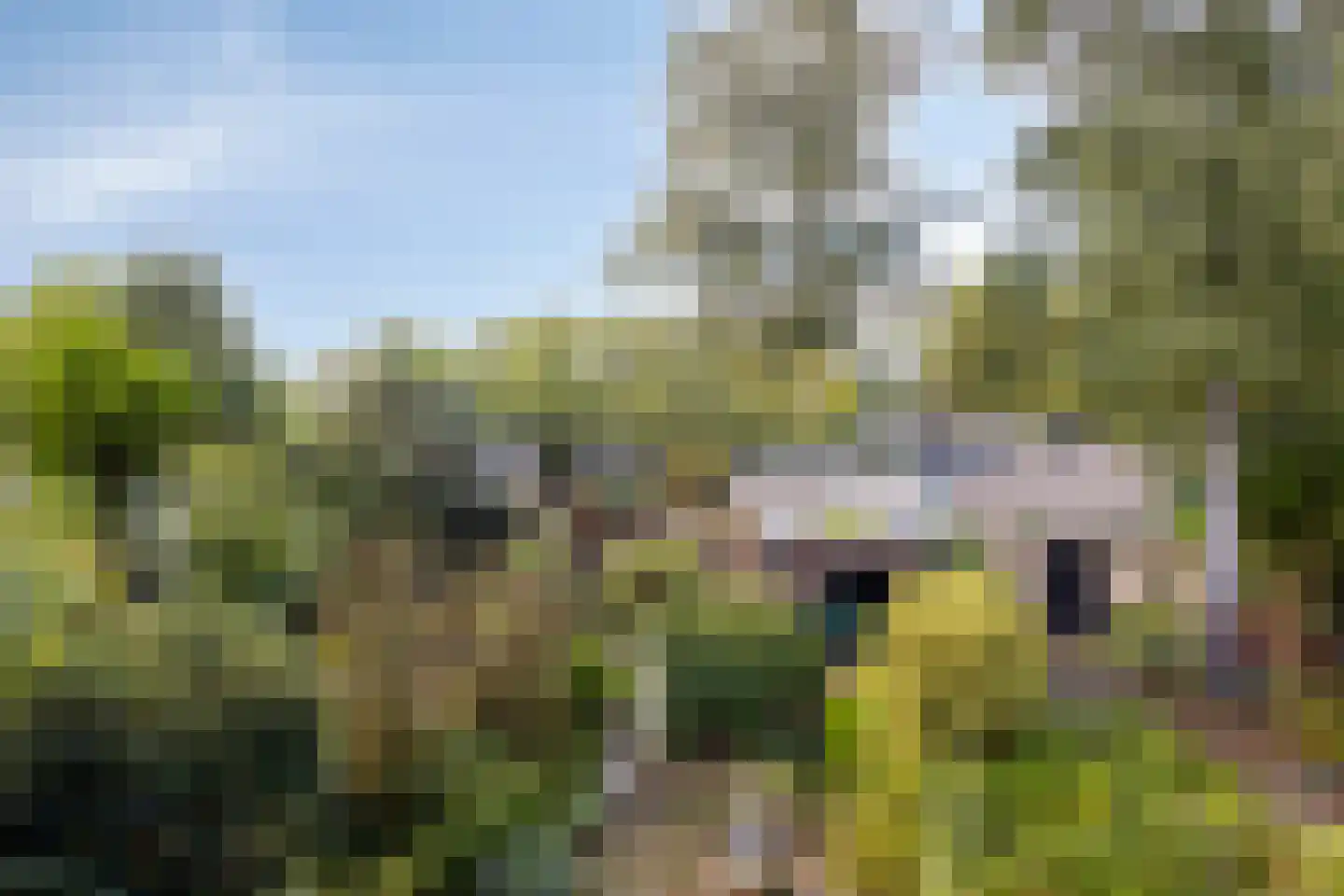 Bosplaat 31 Amsterdam thumbnail 37