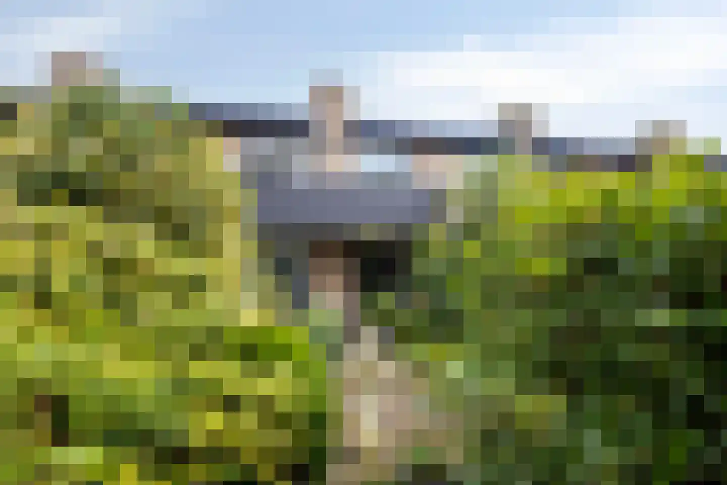 Bosplaat 31 Amsterdam thumbnail 45