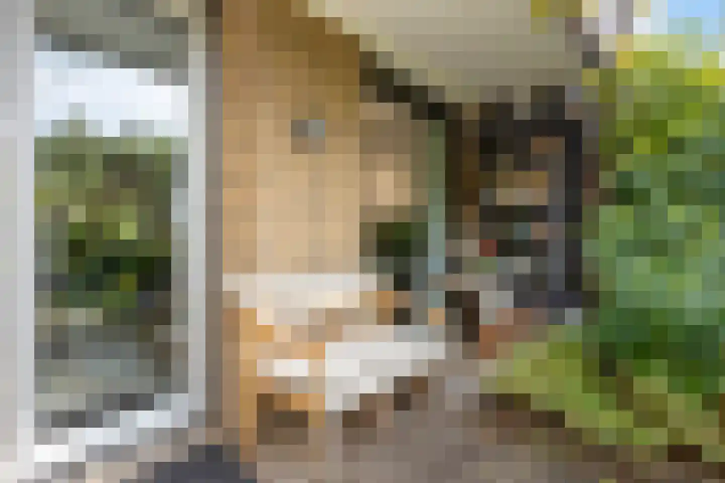 Bosplaat 31 Amsterdam thumbnail 46