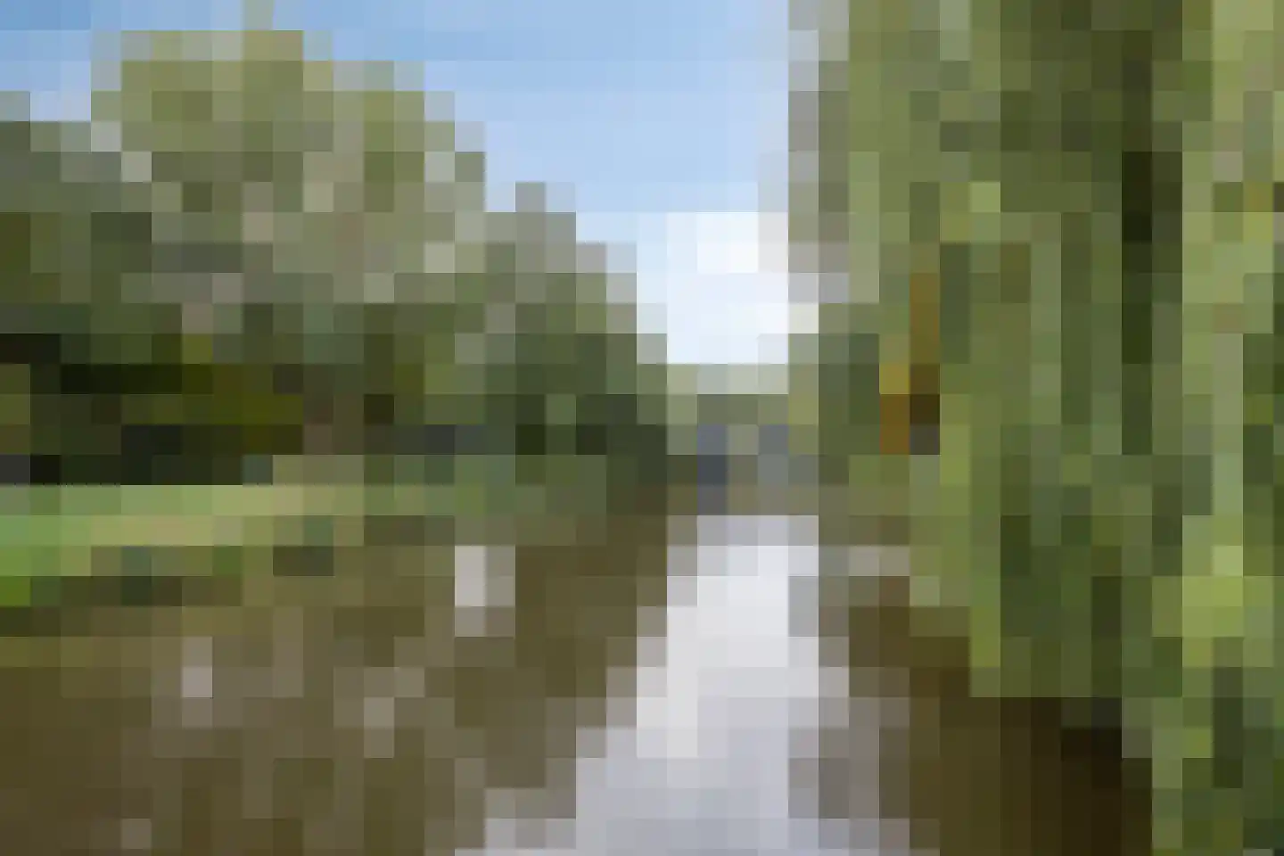 Bosplaat 31 Amsterdam thumbnail 55