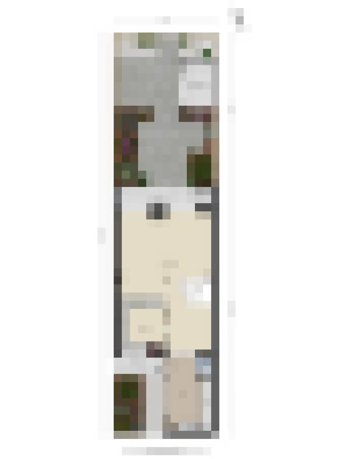 Bosplaat 31 Amsterdam thumbnail 58