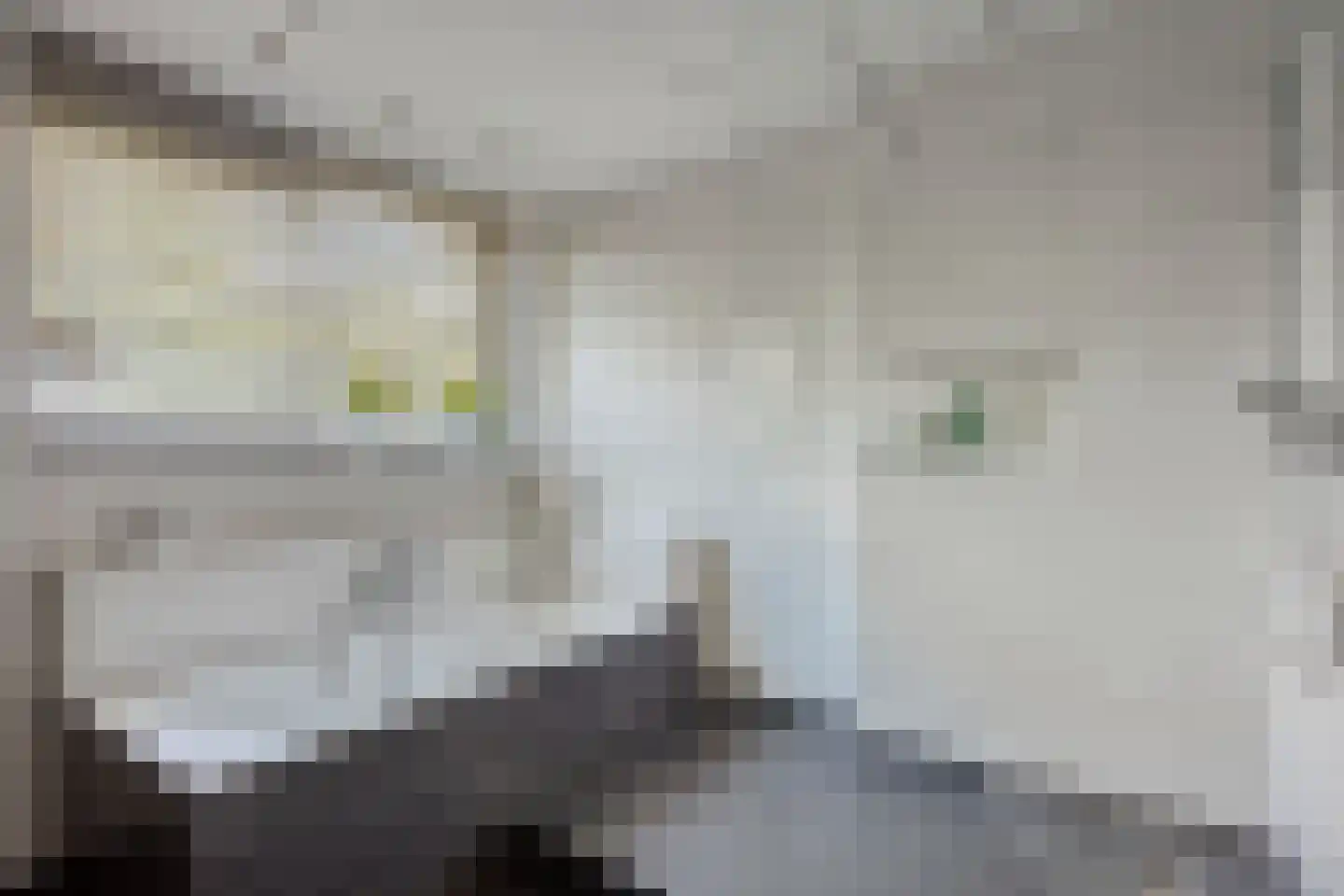 Bosplaat 31 Amsterdam thumbnail 6