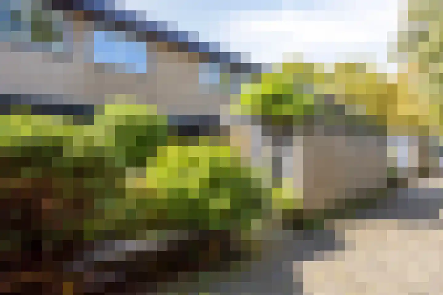 Bosplaat 31 Amsterdam thumbnail 7