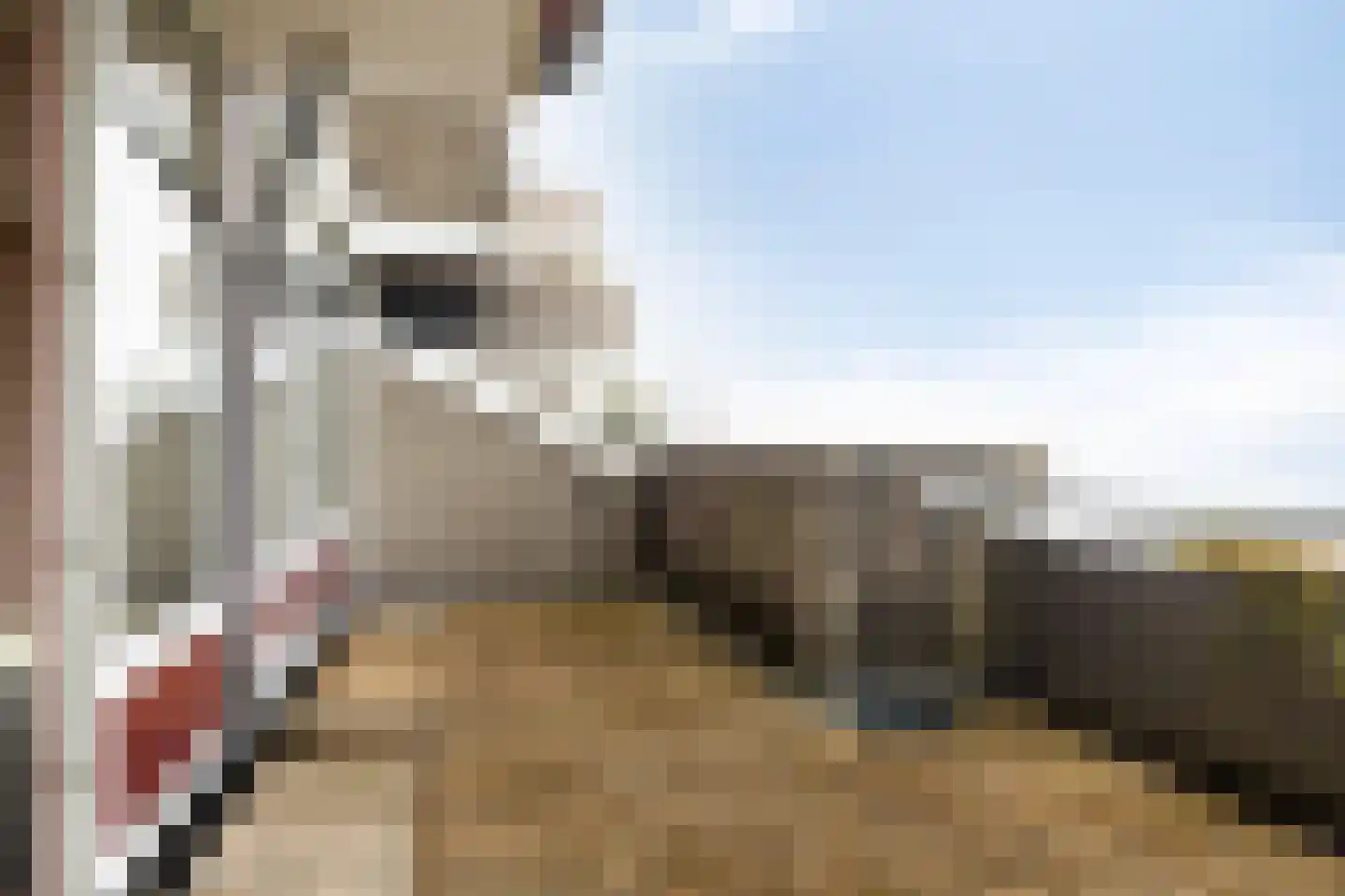 Bosplaat 35 Zwolle thumbnail 20