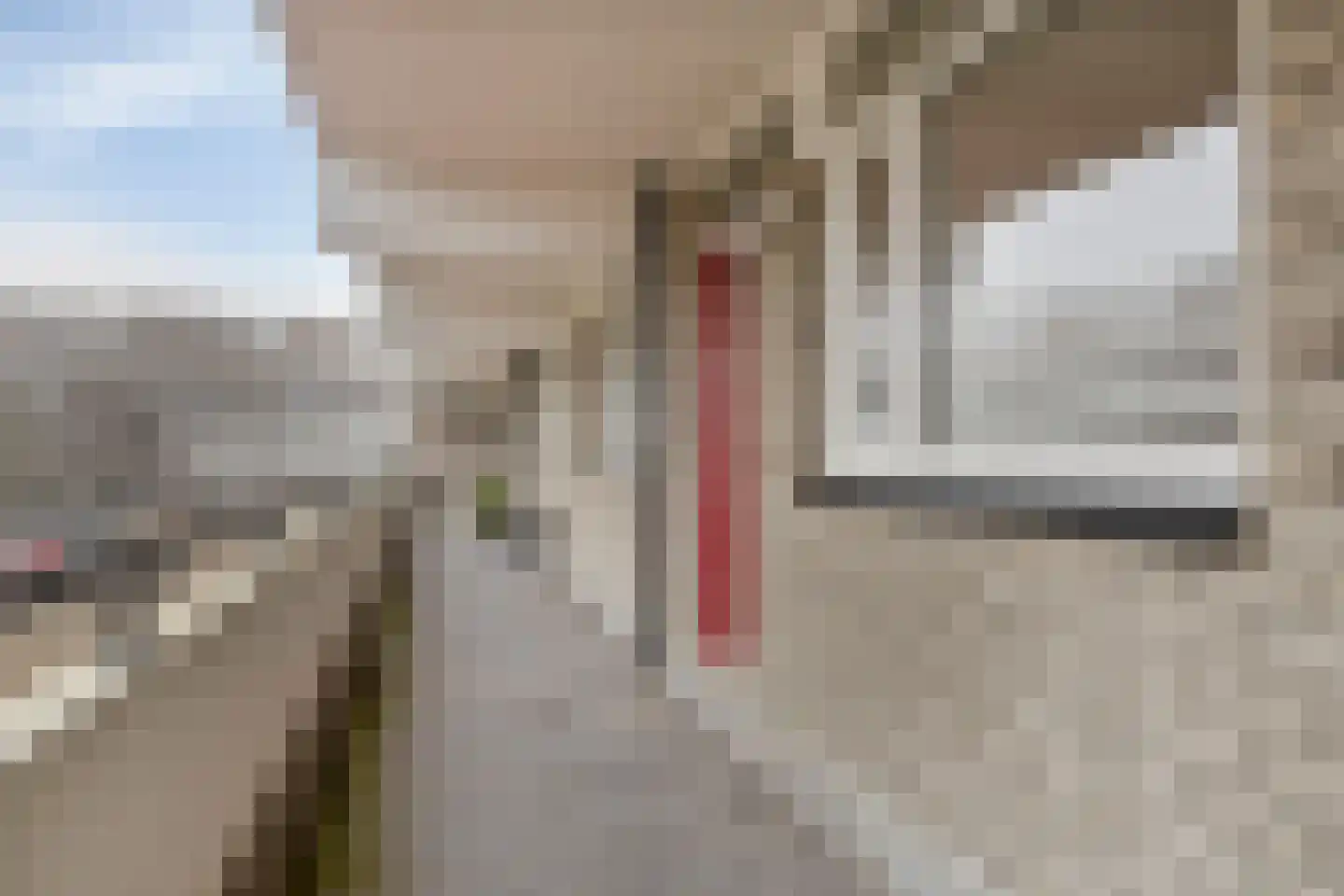 Bosplaat 35 Zwolle thumbnail 21