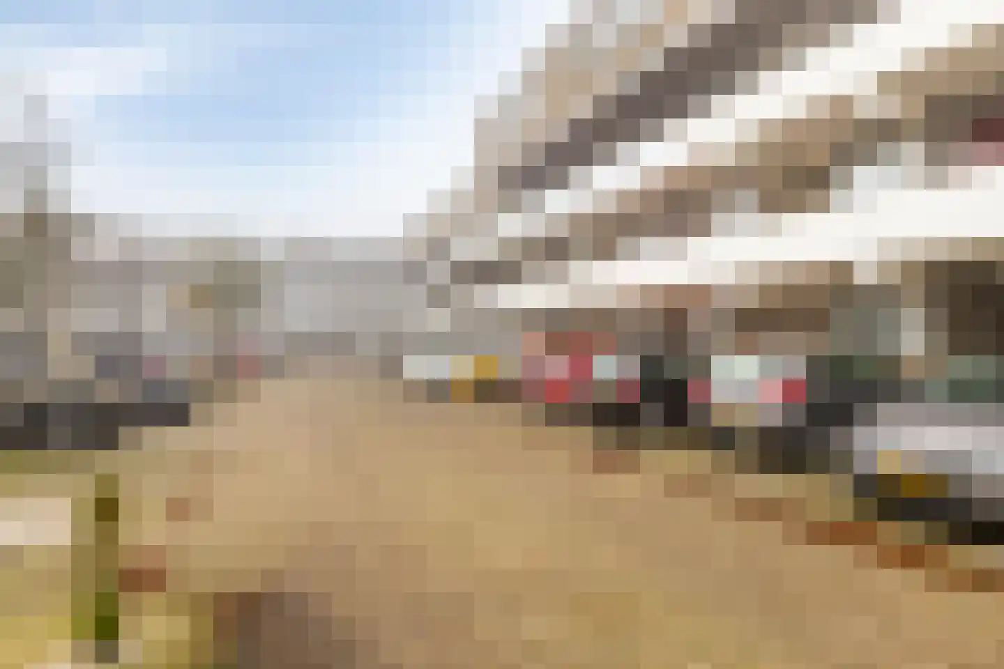 Bosplaat 35 Zwolle thumbnail 24