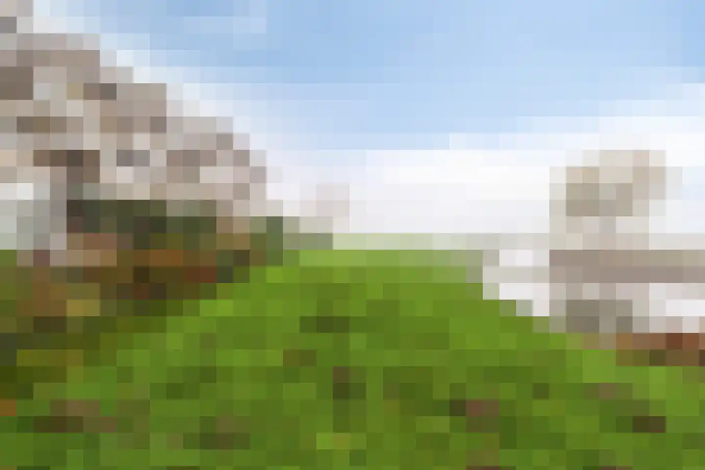 Bosplaat 35 Zwolle thumbnail 27
