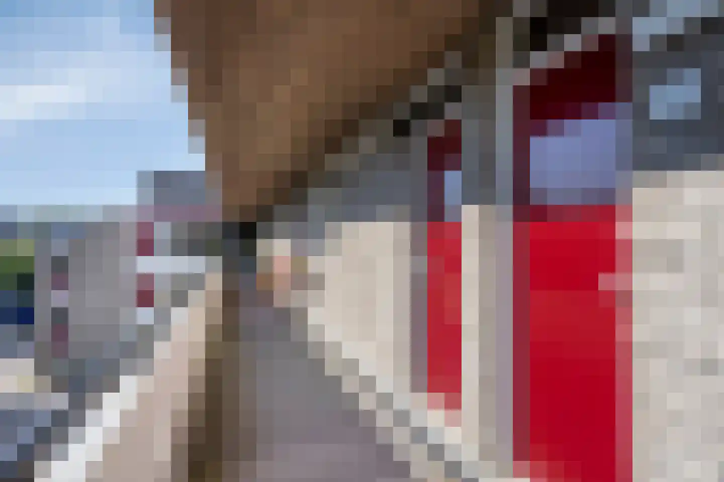 Bosplaat 38 Zwolle thumbnail 23