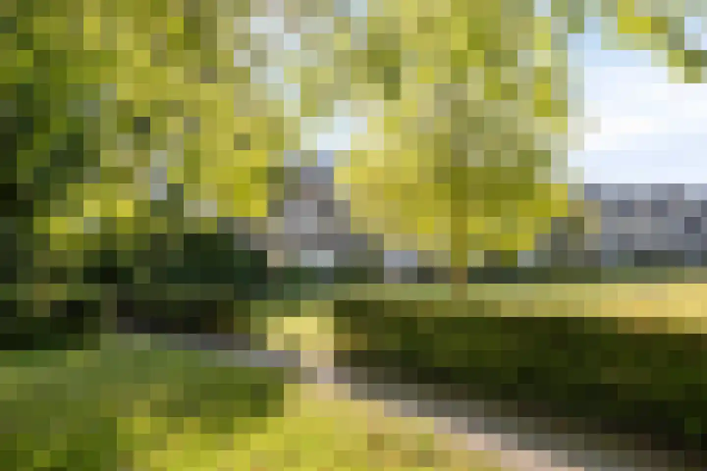 Bosplaat 38 Zwolle thumbnail 30