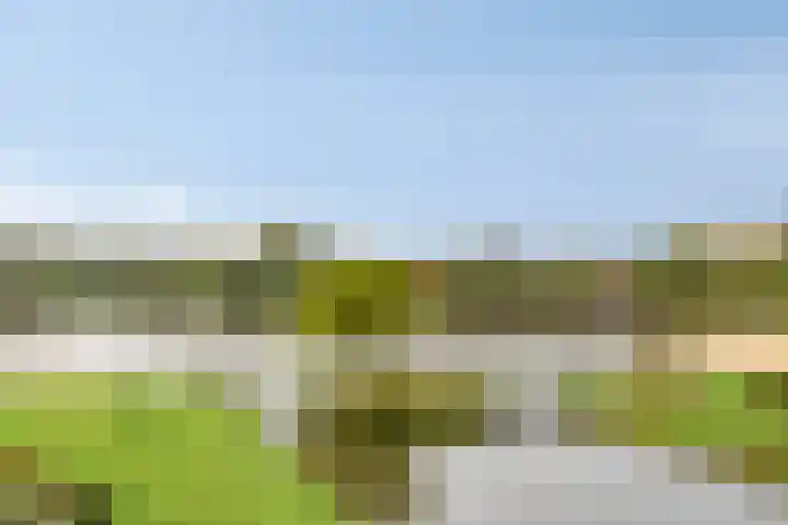 Bosplaat 46 Zwolle thumbnail 20