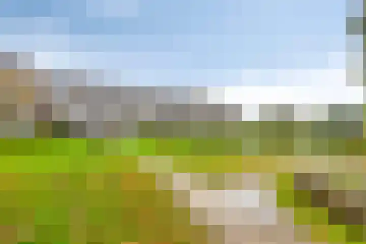 Bosplaat 46 Zwolle thumbnail 22