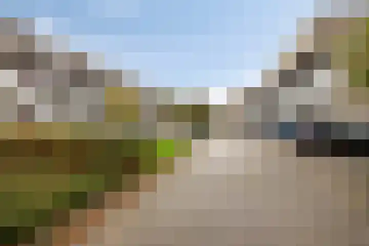 Bosplaat 46 Zwolle thumbnail 23