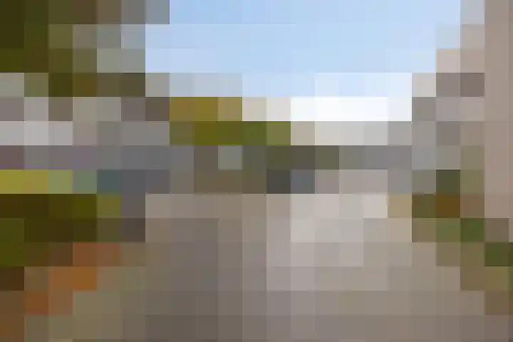 Bosplaat 46 Zwolle thumbnail 24