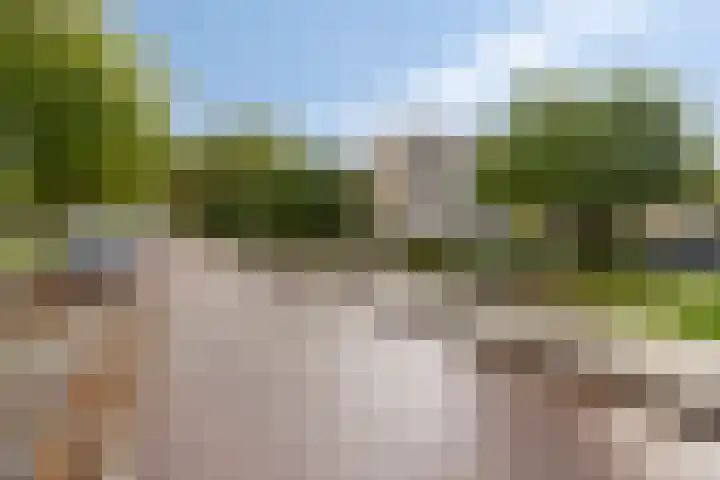 Bosplaat 46 Zwolle thumbnail 25