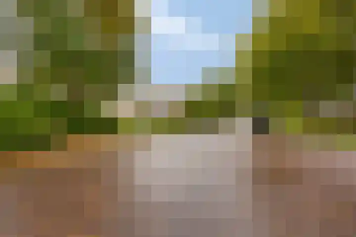 Bosplaat 46 Zwolle thumbnail 26
