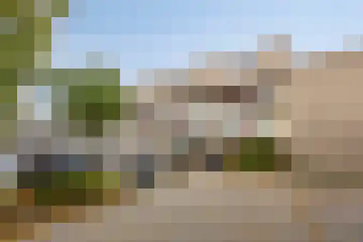 Bosplaat 46 Zwolle thumbnail 27