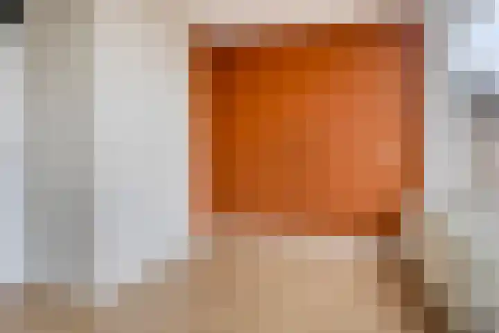 Bosplaat 46 Zwolle thumbnail 5