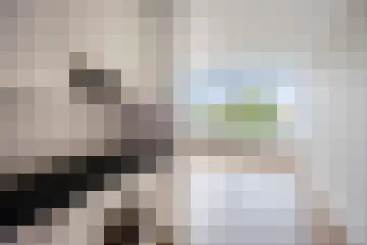 Bosplaat 46 Zwolle thumbnail 7